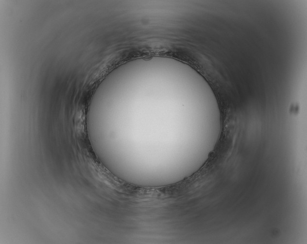 X0000110910866200907021433