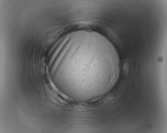 X0000110910868200907021433