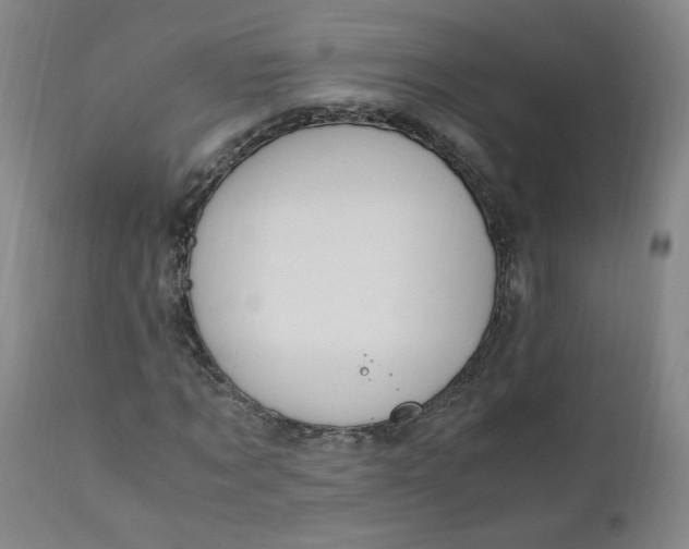 X0000110910869200907021433