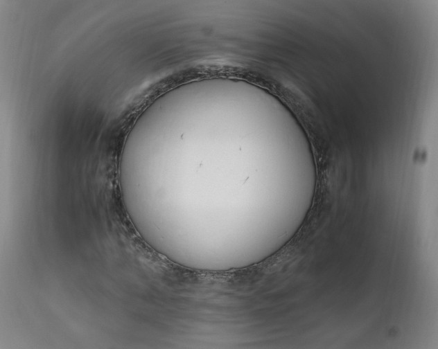 X0000110910870200907021433