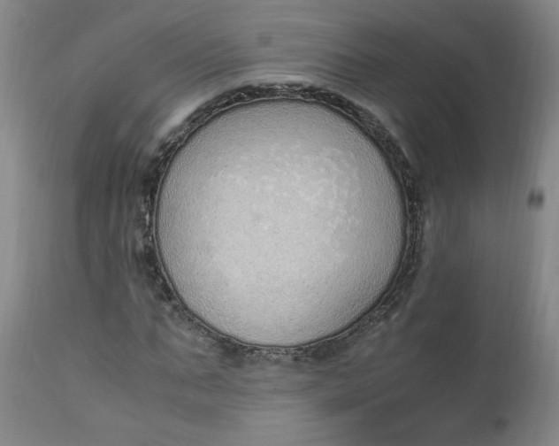 X0000110910871200907021433