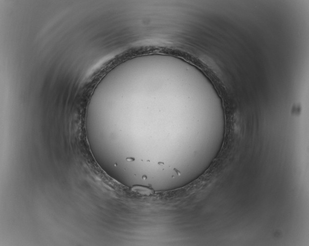 X0000110910872200907021433