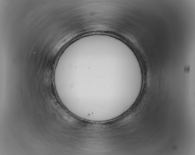 X0000110910873200907021433