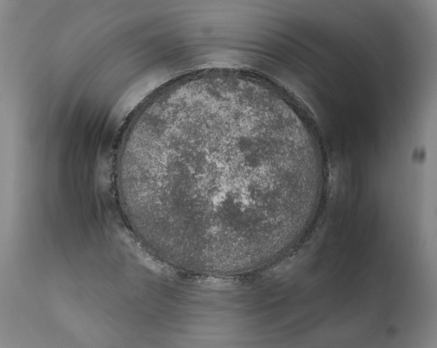 X0000110910874200907021433