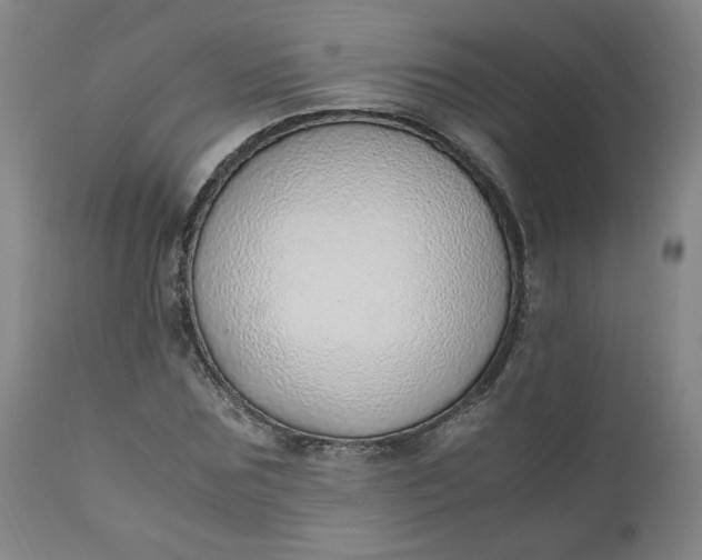 X0000110910875200907021432