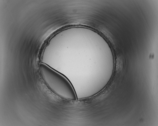 X0000110910876200907021432