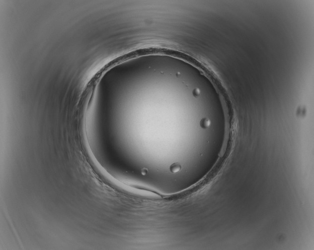 X0000110910877200907021432