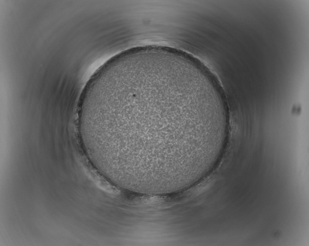 X0000110910879200907021432