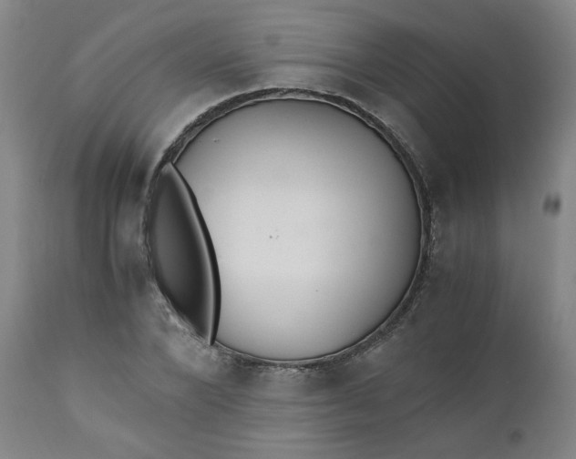 X0000110910880200907021432