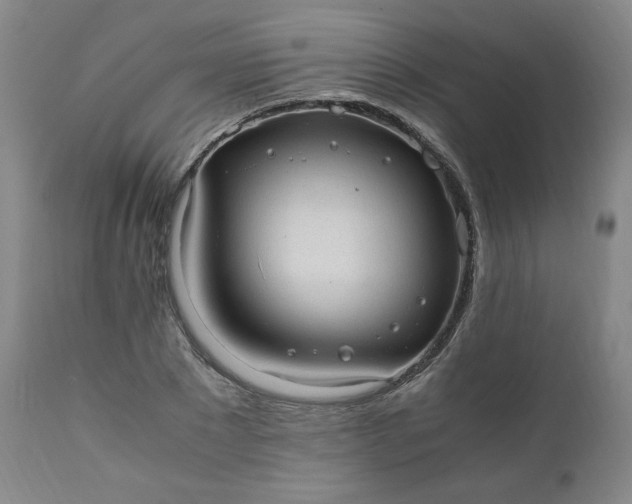 X0000110910881200907021432