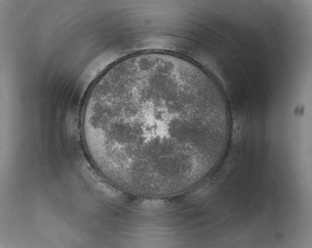 X0000110910882200907021432