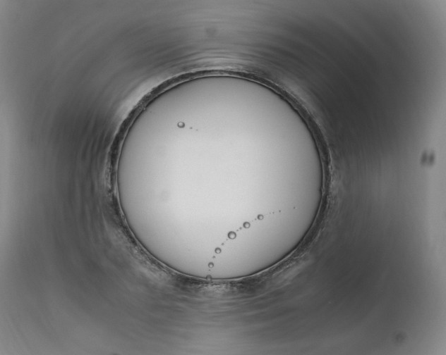 X0000110910883200907021432