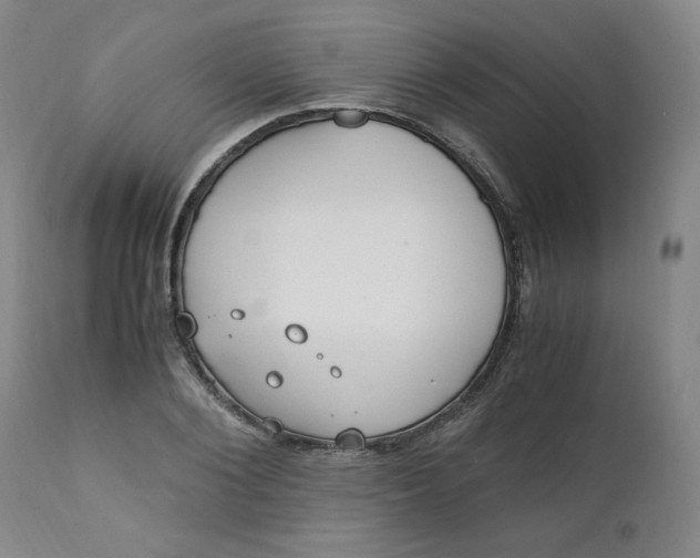 X0000110910884200907021432