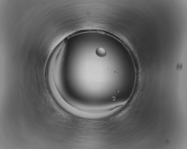 X0000110910885200907021432