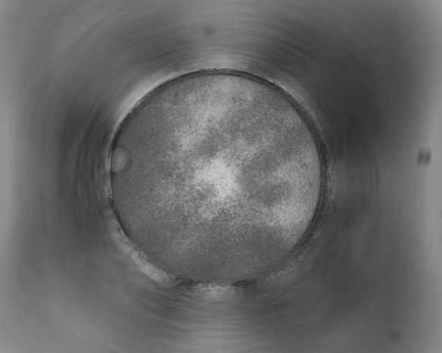 X0000110910886200907021432