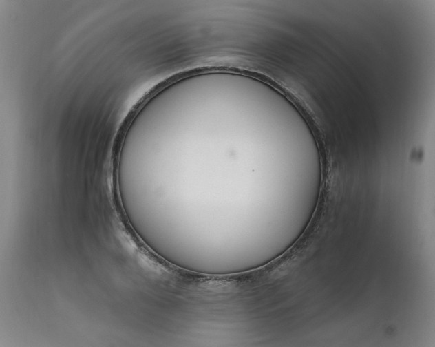 X0000110910888200907021432