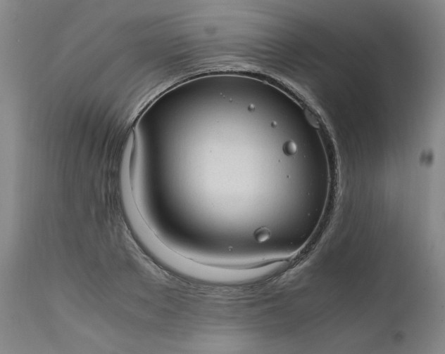 X0000110910889200907021432