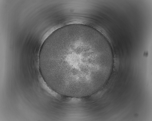 X0000110910890200907021432