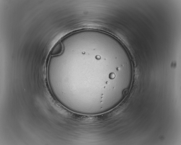 X0000110910891200907021432