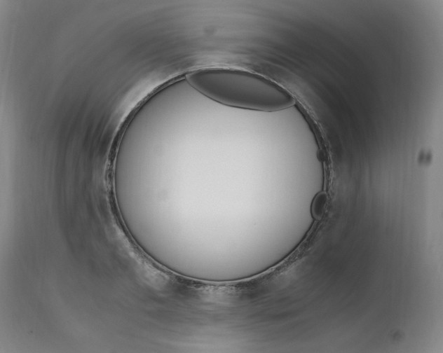 X0000110910893200907021432