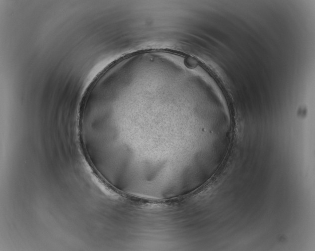 X0000110910894200907021432