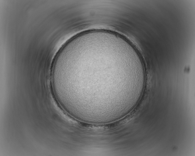 X0000110910895200907021432