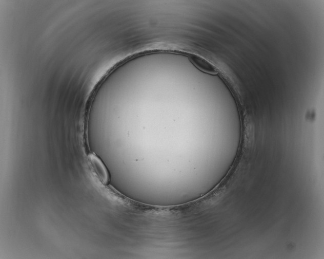 X0000110910896200907021432