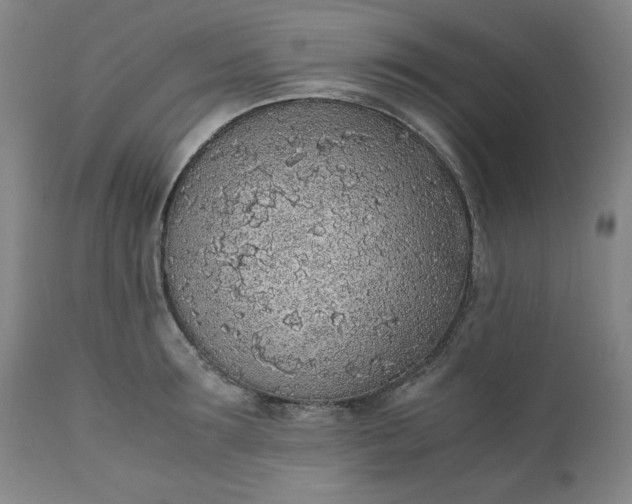 X0000110910899200907021432