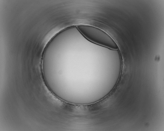 X0000110910901200907021432