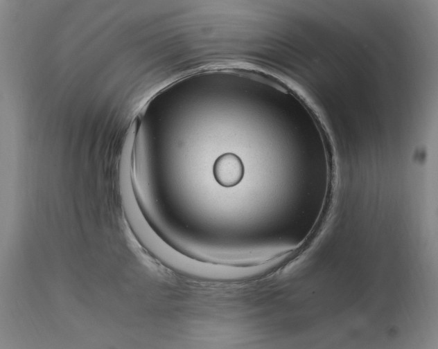 X0000110910905200907021432