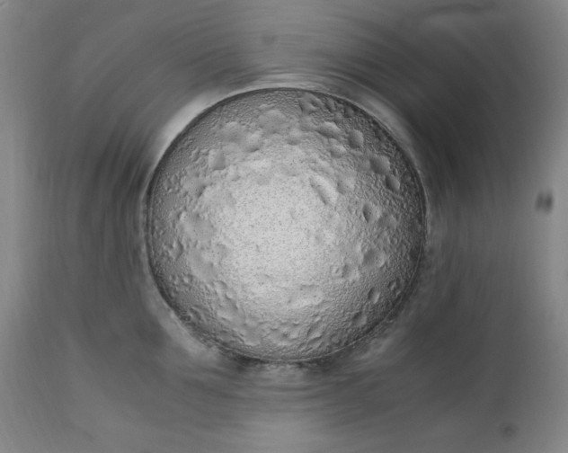 X0000110910907200907021432