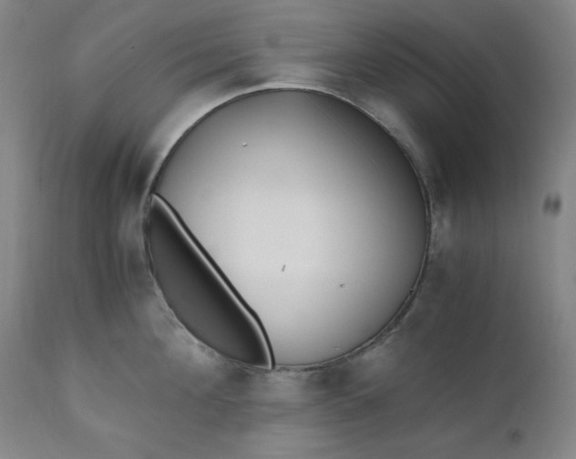 X0000110910908200907021432