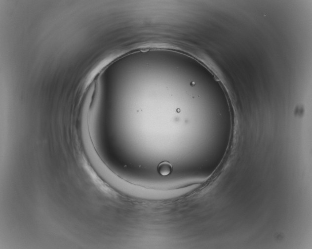 X0000110910909200907021432