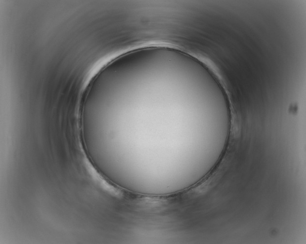 X0000110910910200907021432