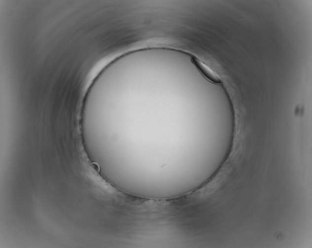 X0000110910912200907021432