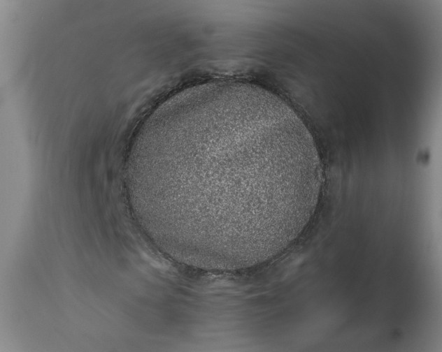 X0000110910913200907021431