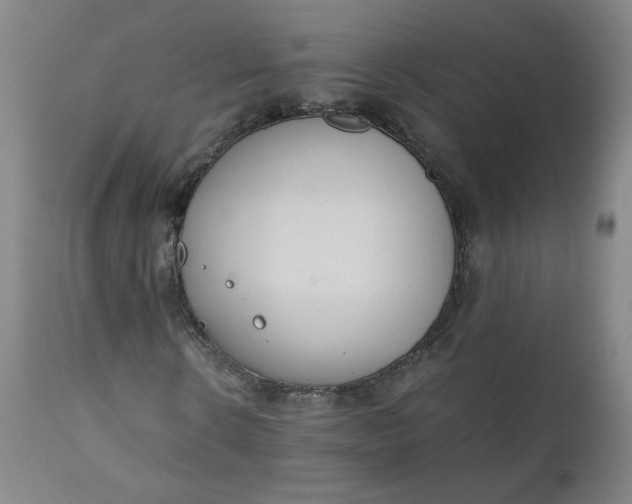 X0000110910914200907021431