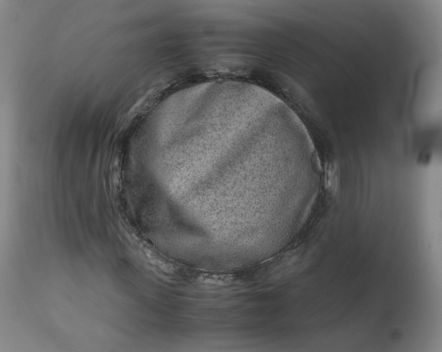 X0000110910915200907021431