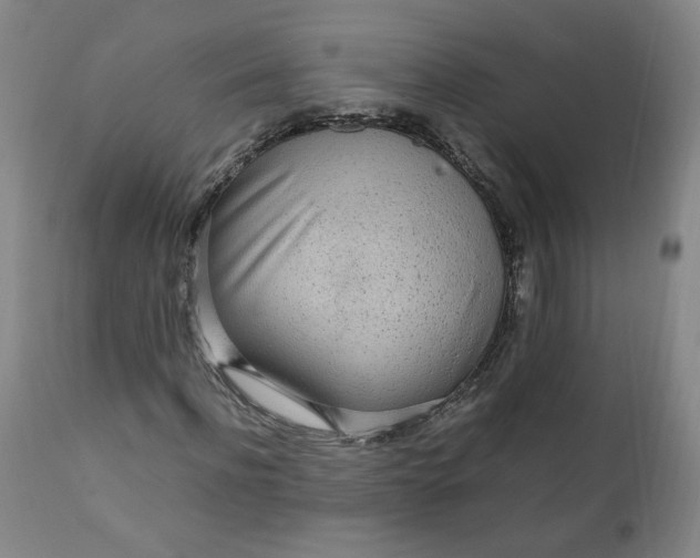 X0000110910916200907021431