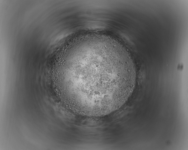 X0000110910917200907021431