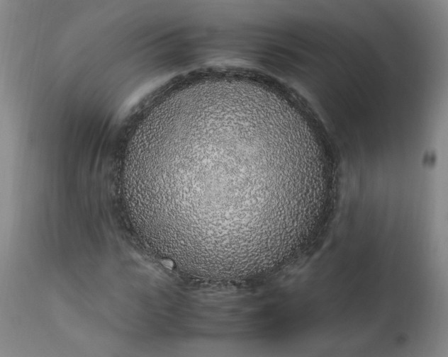 X0000110910919200907021431