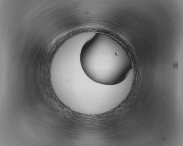 X0000110910920200907021431