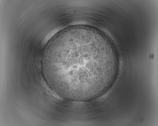 X0000110910921200907021431