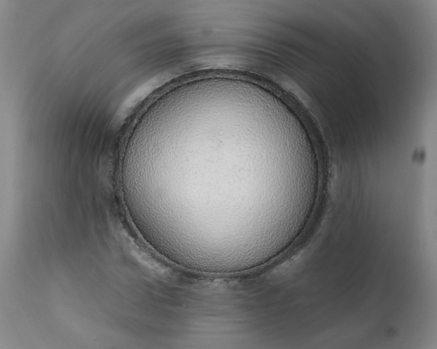 X0000110910922200907021431