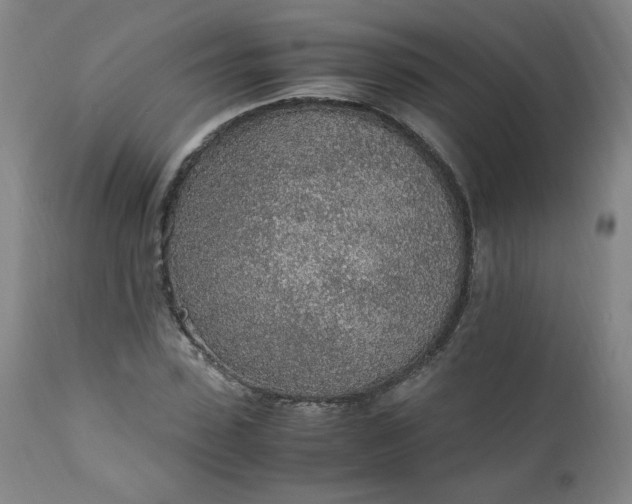 X0000110910923200907021431