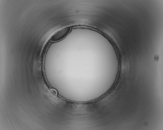 X0000110910924200907021431