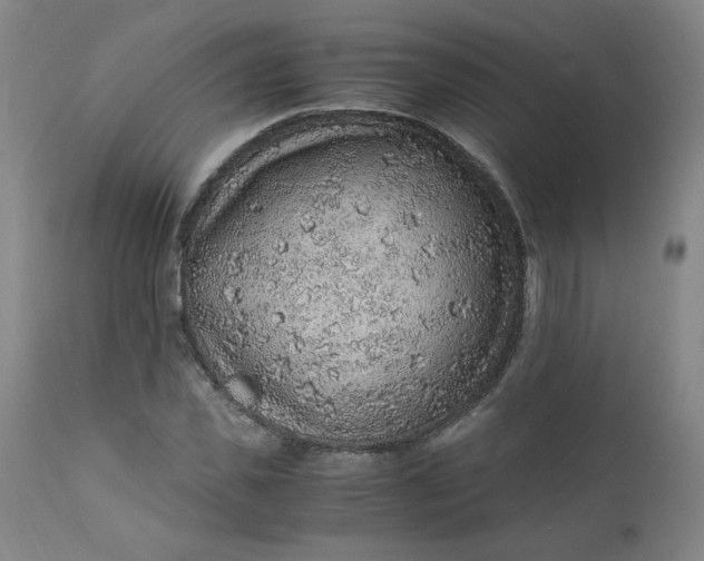 X0000110910925200907021431