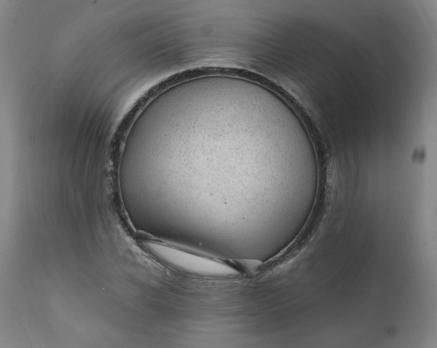 X0000110910926200907021431