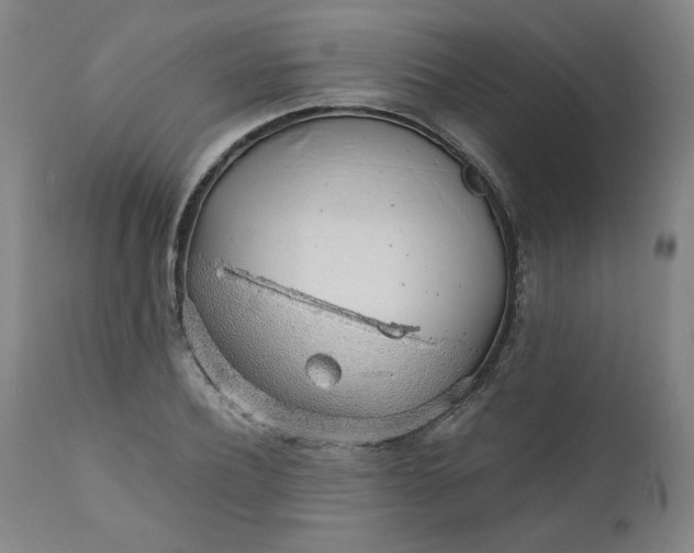 X0000110910932200907021431