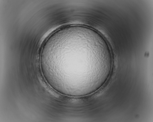 X0000110910933200907021431